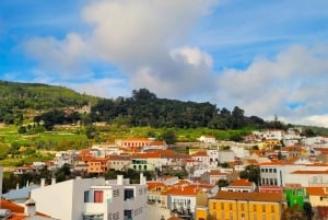 Half-Day Mountain Jeep Safari with firewater tasting