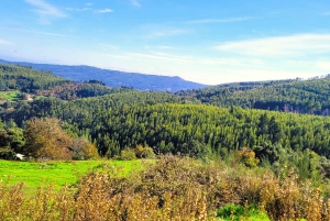 Half-Day Mountain Jeep Safari with firewater tasting