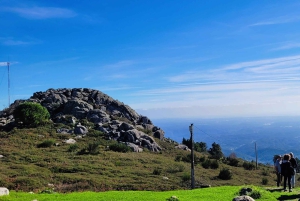 Half-Day Mountain Jeep Safari with firewater tasting