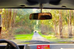 Half-Day Mountain Jeep Safari with firewater tasting