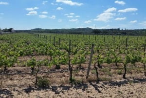 Herdade Canal Caveira - Winery Visit 3 Wines & Tapas