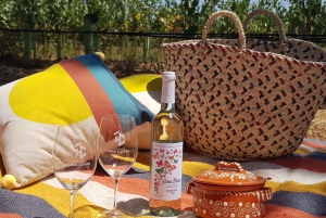 Herdade Canal Caveira - besøg på vingård og picnic