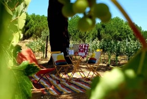 Herdade Canal Caveira - besøg på vingård og picnic