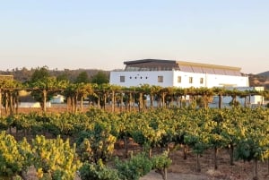 Herdade Canal Caveira -viinitilan vierailu TOP5-viineillä ja tapaksilla