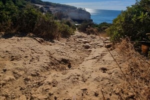 Algarve: Caminatas guiadas por los Siete Valles Suspendidos