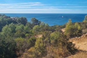 Algarve: Caminatas guiadas por los Siete Valles Suspendidos