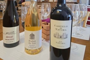 Исторический центр и дегустация вин