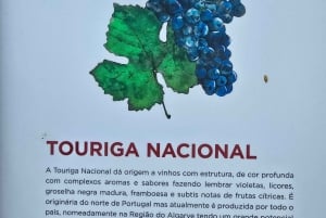 Исторический центр и дегустация вин