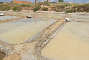 Исторический центр и дегустация вин