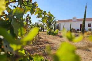 Historisch centrum en wijnproeverij