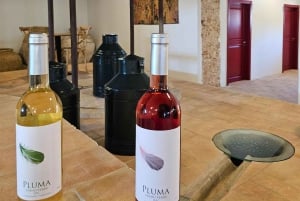 Historisch centrum en wijnproeverij