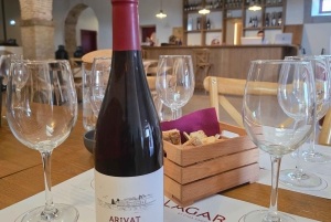 Historisch centrum en wijnproeverij