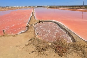 Historisch centrum en wijnproeverij