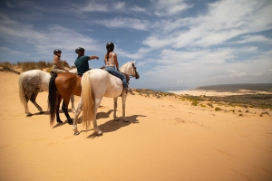 Passeios a Cavalo na Costa Vicentina, Algarve