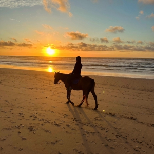 Équitation sur la côte ouest de l'Algarve