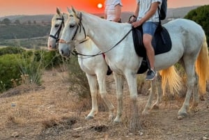 Horse Riding Private Tours