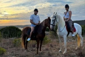 Horse Riding Private Tours