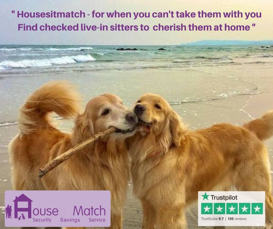 HouseSit Match
