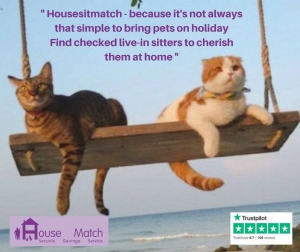 housesit match
