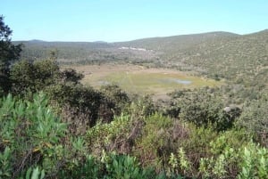 Safari en jeep et tour en bateau à Benagil