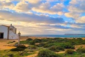 Jeep Safari sydväst - halvdag