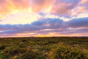 Jeep Safari Southwest with lunch included - Full Day