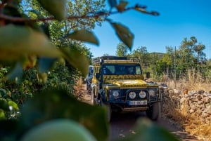Jeep Safari Tour - dia inteiro