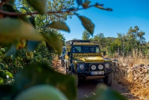 Jeep Safari Tour- Full Day