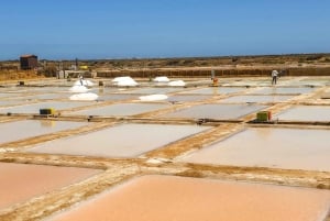 Jeep-tur – Fuzeta, Olhão & lera- och saltbad