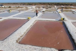 Jeep-tur – Fuzeta, Olhão & lera- och saltbad