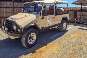 Jeep-tur – Fuzeta, Olhão & lera- och saltbad