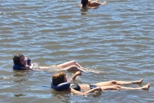 Jeep-tur – Fuzeta, Olhão & lera- och saltbad