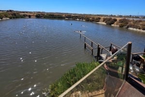 Jeep-tur – Fuzeta, Olhão & lera- och saltbad