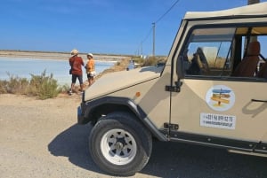 Tour privado en jeep por Tavira: salinas, naturaleza y Santa Luzia