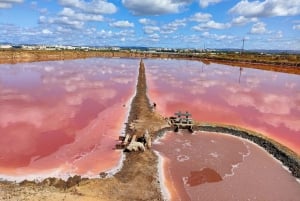 Tour privado en jeep por Tavira: salinas, naturaleza y Santa Luzia