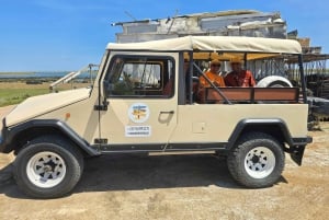 Tour privado en jeep por Tavira: salinas, naturaleza y Santa Luzia