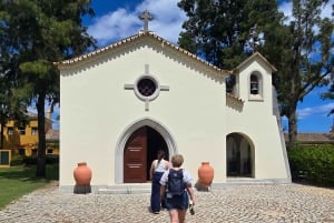 Tour privado en jeep por Tavira: salinas, naturaleza y Santa Luzia