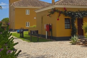 Tour privado en jeep por Tavira: salinas, naturaleza y Santa Luzia