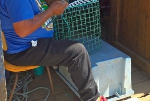 Tour privado en jeep por Tavira: salinas, naturaleza y Santa Luzia