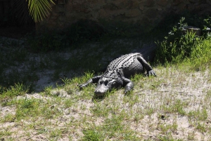 Safari en Jeep por Albufeira con Zoo