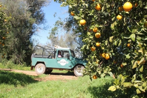 Safari en Jeep por Albufeira con Zoo