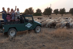 Safari en Jeep por Albufeira con Zoo