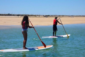 Kajakki tai Stand Up Paddle vuokraus reppuineen ja lisävarusteineen