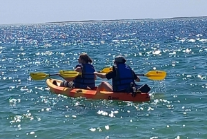 Kayak Tour in Ria Formosa - Olhão