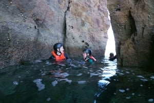 Kids Version - Coasteering med snorkling: Algarve