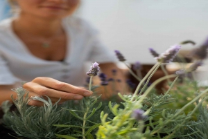 La Eva Treatment - Sensory Immersion Massage
