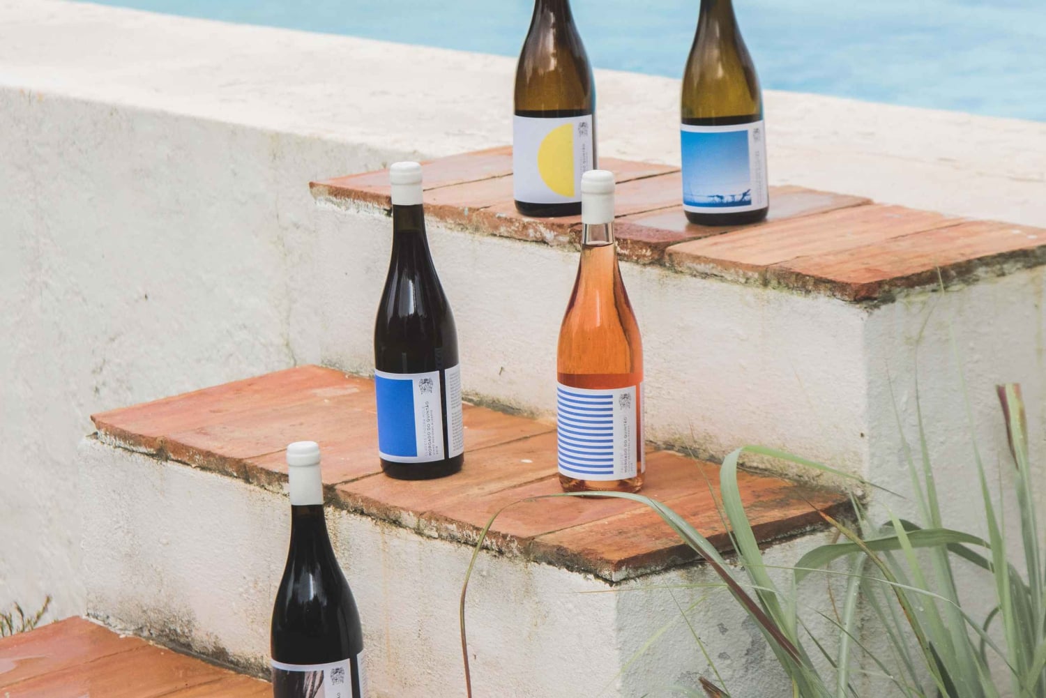 Lagoa: 2.5-Hour Vineyard Dinner with Winetasting