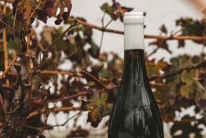 Lagoa: 2.5-Hour Vineyard Dinner with Winetasting