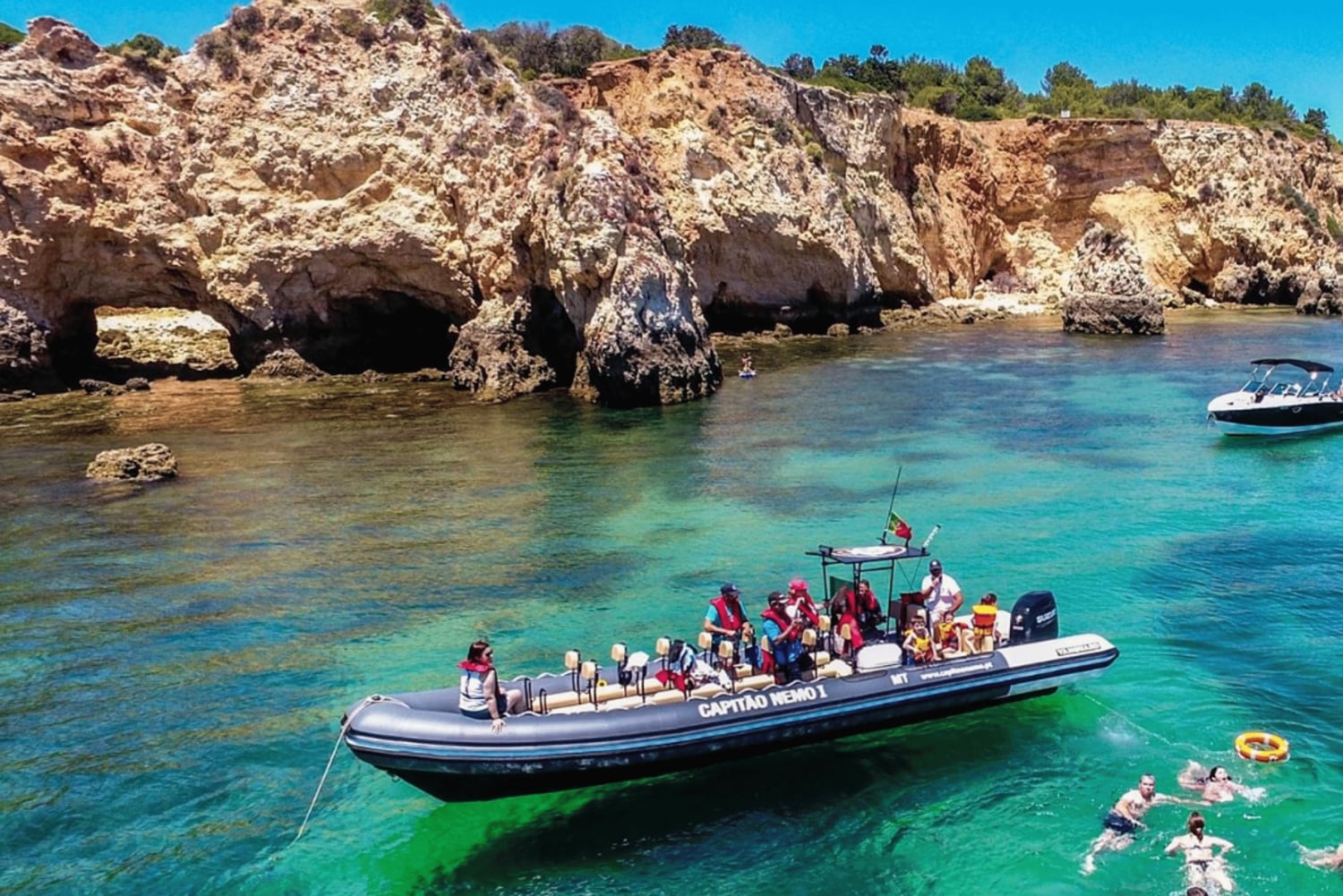 Lagoa: Benagilgrottorna och Praia da Marinha med biologguide