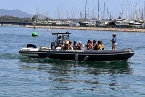 Lagoa: Benagil-hulerne og Praia da Marinha med biolog som guide